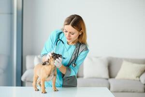 Our Team at PetCares